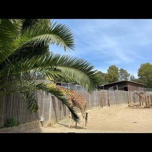 Meet your Posher, Chan